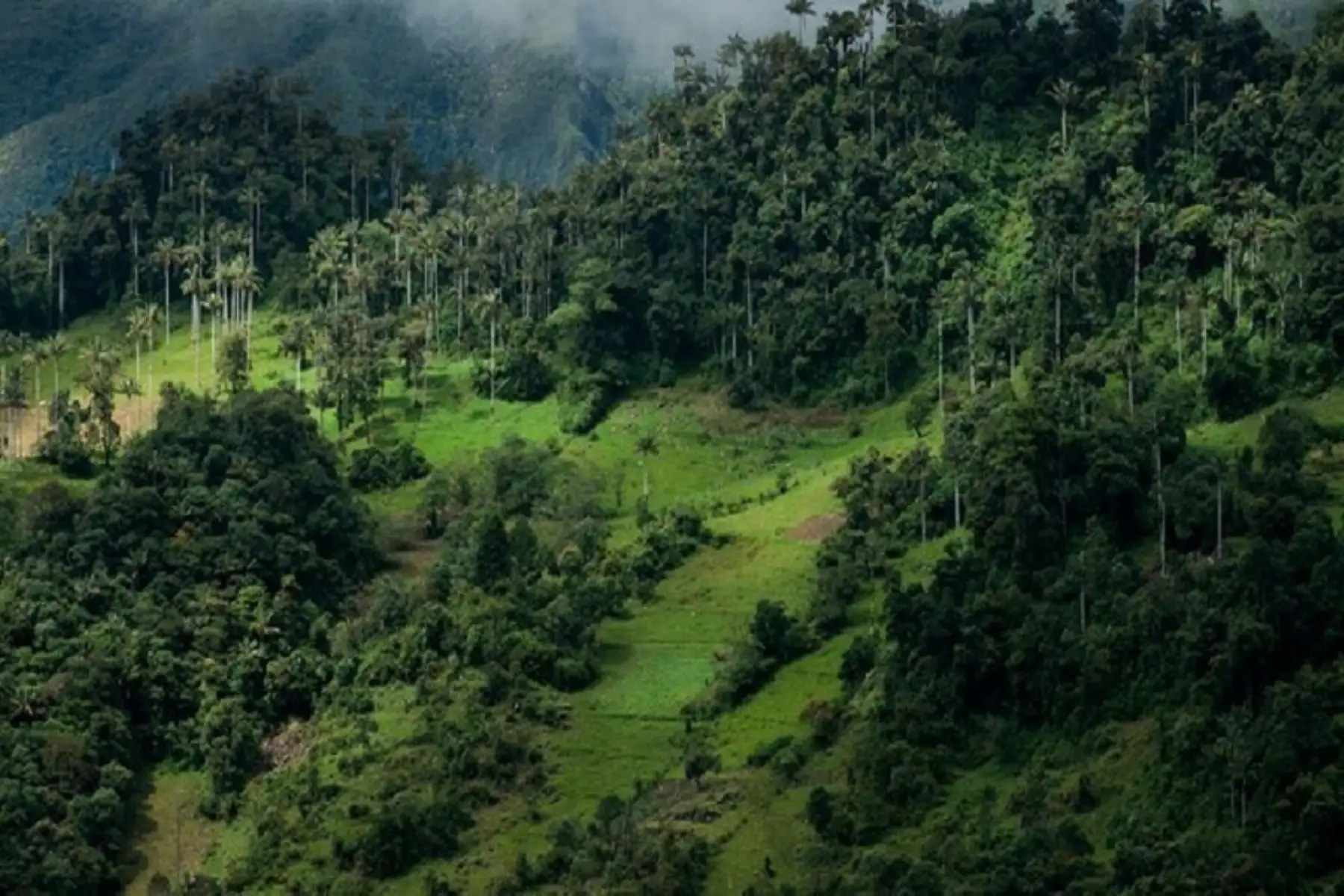 El objetivo es proteger el medio ambiente.