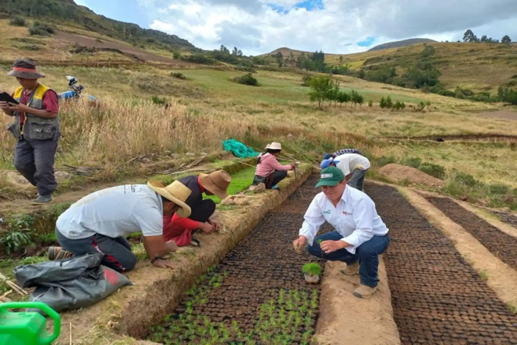 La Libertad: Agro Rural culminará producción de 1.5 millones de plantones forestales.