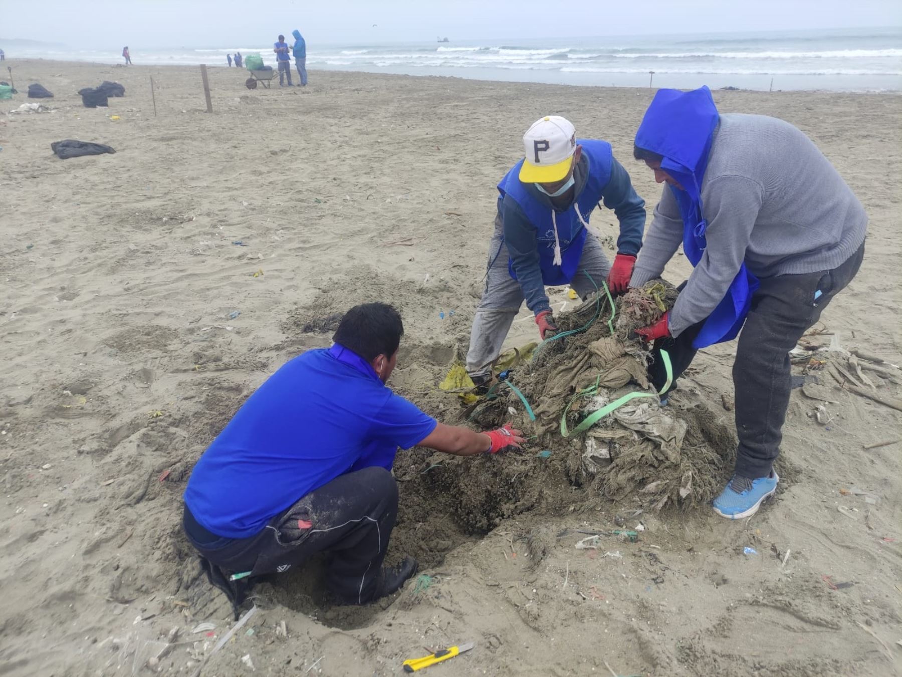 Voluntarios limpian playas de Ventanilla, las más contaminadas por basura marina en Perú, según la ONG Vida. Foto: ANDINA/difusión.