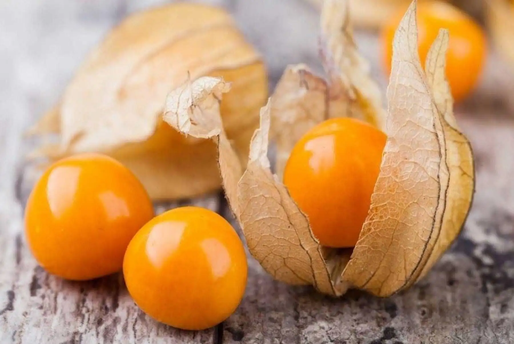 Domesticado y cultivado desde tiempos ancestrales, siendo uno de los frutos más venerados por los incas debido a sus reconocidas propiedades nutricionales y por su forma de perla con intenso color amarillo, el aguaymanto es uno de los superalimentos surgidos en el pródigo territorio peruano, uno de los más biodiversos del planeta.