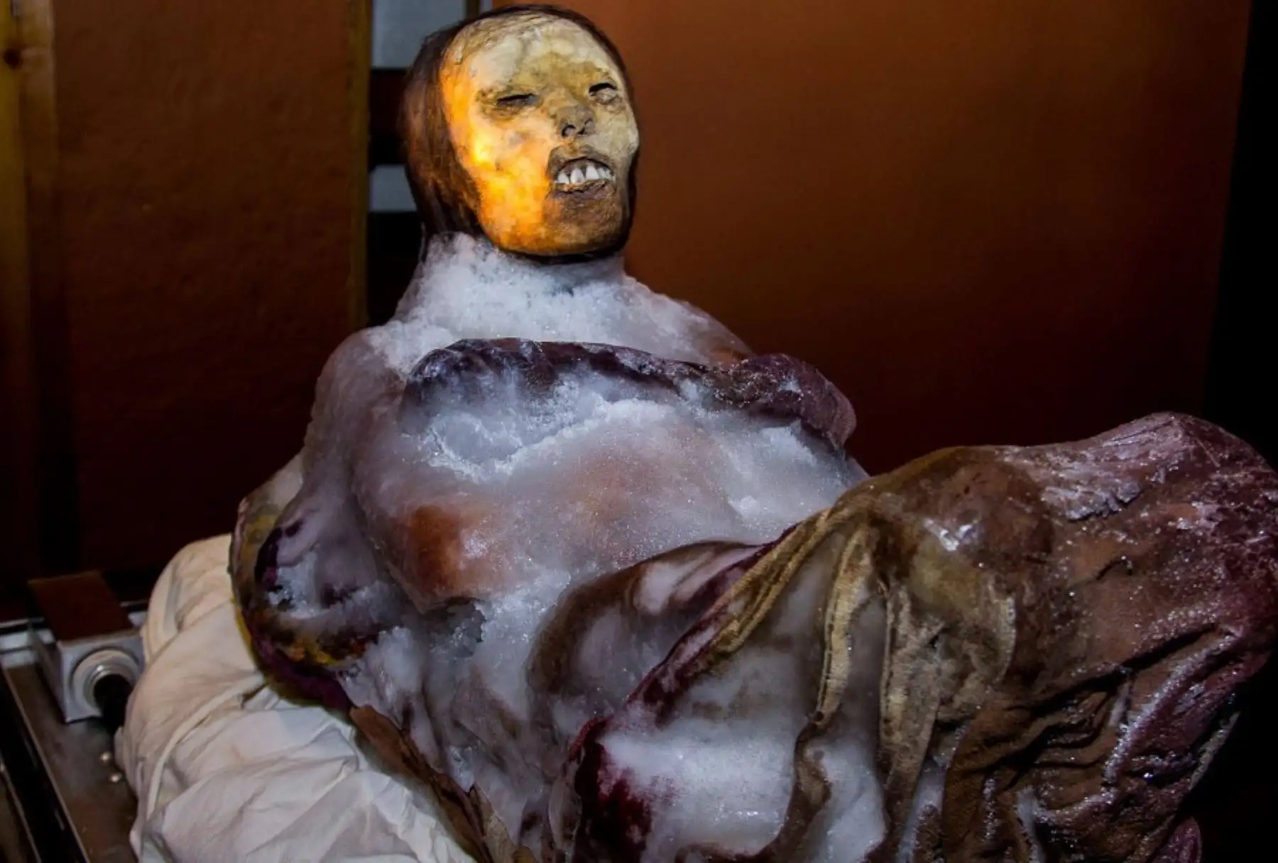 Tanto la Dama de Ampato como su ajuar funerario se exhiben en una urna especial que garantiza su conservación, en el Museo Santuarios Andinos de la Universidad Católica de Santa María, ubicado en la ciudad de Arequipa. Foto: Facebook / Museo Santuarios Andinos.