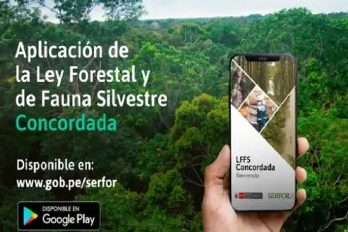 En el 2020 se elaboró una primera versión web del aplicativo y ahora está disponible su nueva versión que se actualiza cada fin de mes.