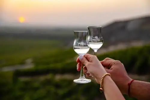 Pisco, bebida bandera del Perú. ANDINA