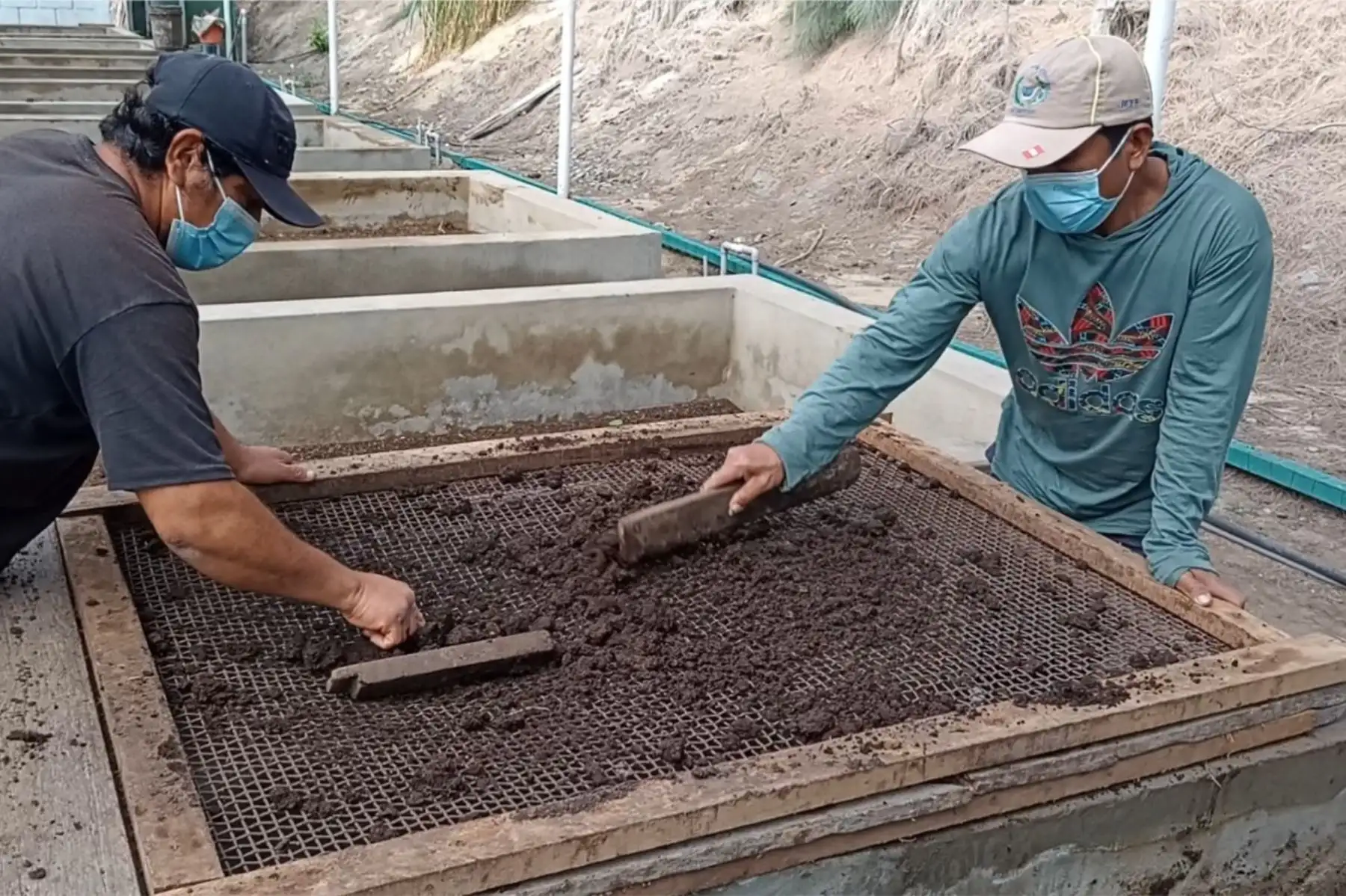 Una tonelada de abono orgánico es ofertada a 400 soles, mientras que una tonelada de urea cuesta 1,800 soles.