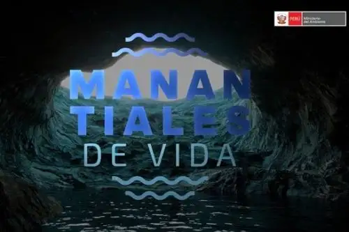 Los manantiales son la fuente de aguas subterráneas con más fácil acceso, en cuanto a su captación y aprovechamiento. Foto: Minam