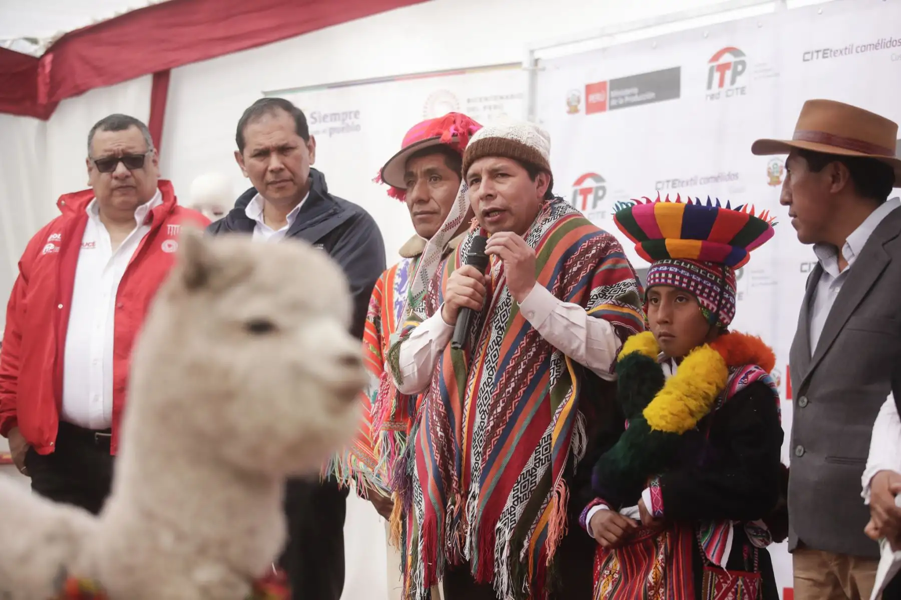 Presidente de la República, Pedro Castillo inspecciona las instalaciones del CITEtextil Camélidos Cusco y se reúne con dirigentes alpaqueros de la región.
Foto: ANDINA/Prensa Presidencia