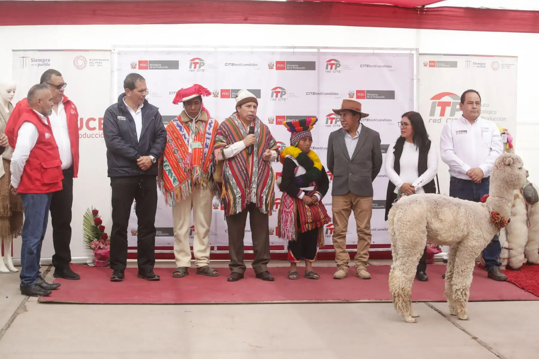 Presidente de la República, Pedro Castillo inspecciona las instalaciones del CITEtextil Camélidos Cusco y se reúne con dirigentes alpaqueros de la región.
Foto: ANDINA/Prensa Presidencia