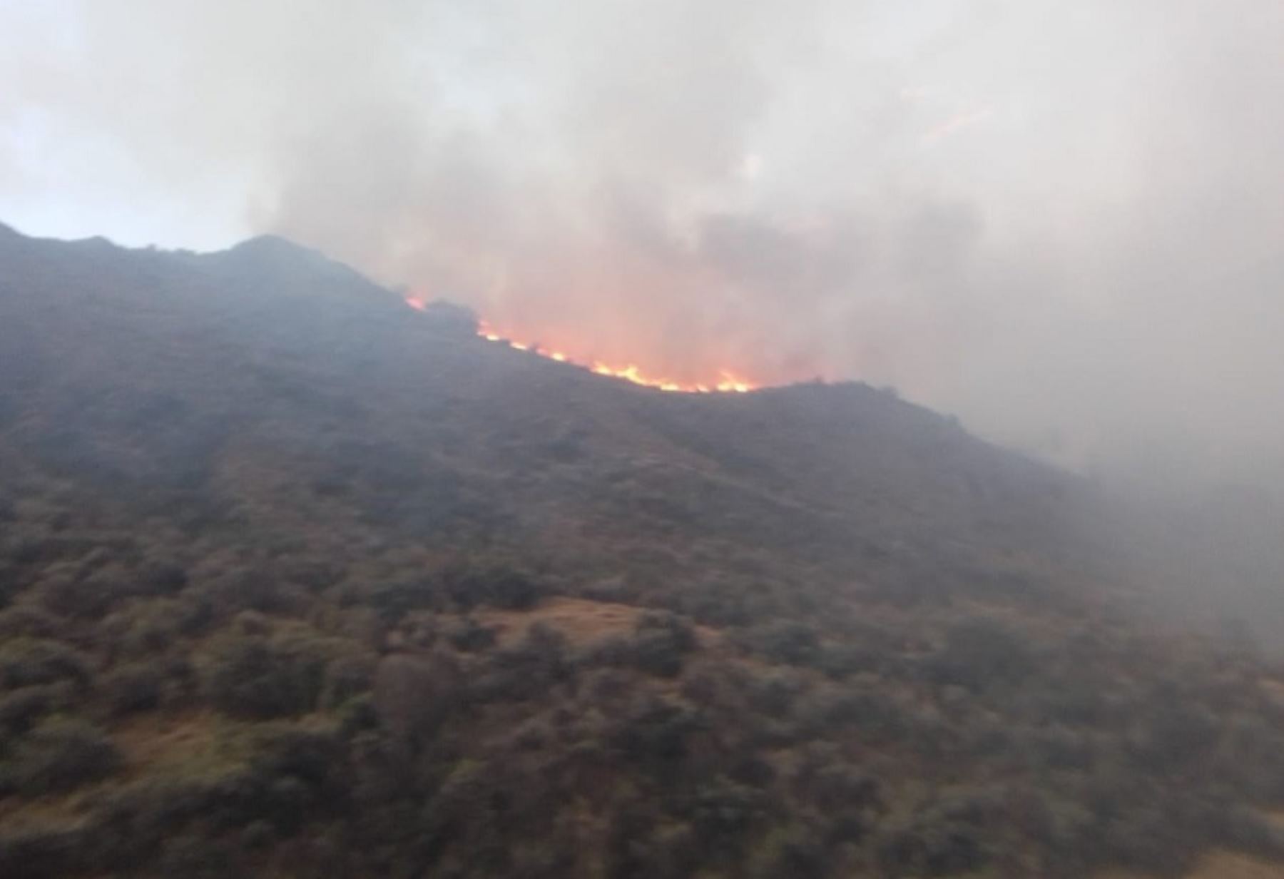 Un incendio forestal registrado en el sector Carhuascancha del distrito de Huántar, en la provincia de Huari, arrasó más de 1,000 hectáreas de pastos naturales, informaron autoridades locales.