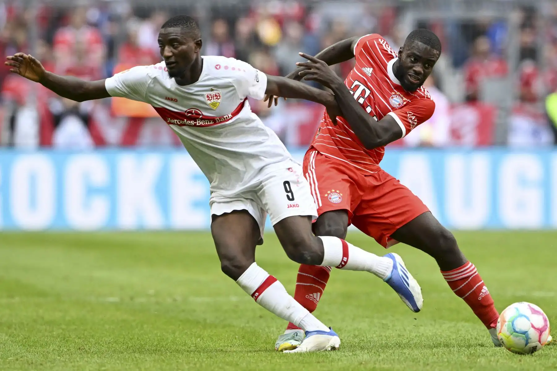 El defensor francés del Bayern de Múnich, Dayot Upamecano, y el delantero guineano-francés de Stuttgart, Serhou Guirassy, compiten por el balón durante el partido de fútbol de la primera división alemana de la Bundesliga entre el FC Bayern de Múnich y el VfB Stuttgart en Múnich, al sur de Alemania. Foto: AFP