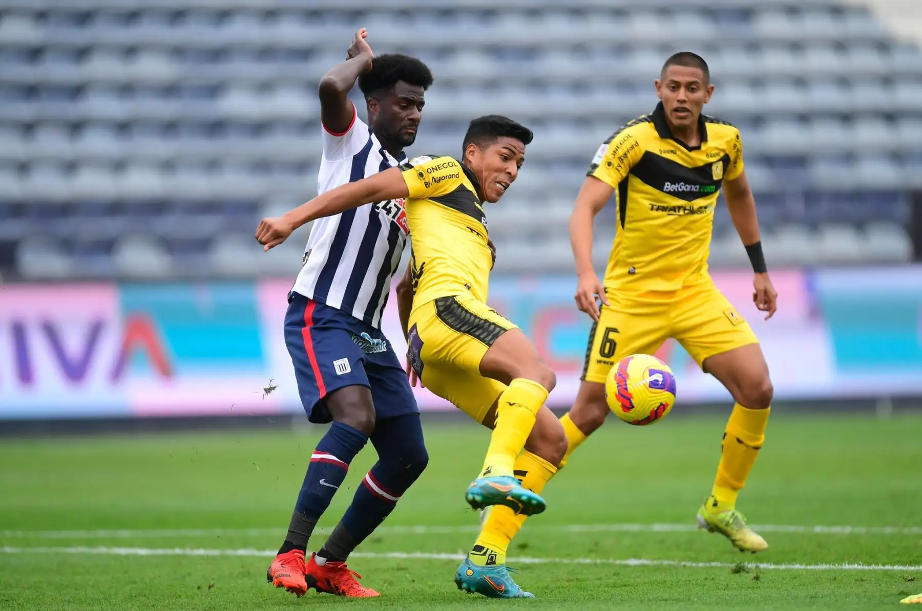 Christian Ramos de Alianza Lima disputa el balón con su rival de Cantolao durante partido que igualaron 0 a 0 por la fecha 11 del Torneo Clausura de la Liga 1, en el estadio Alejandro Villanueva. Foto: Liga 1