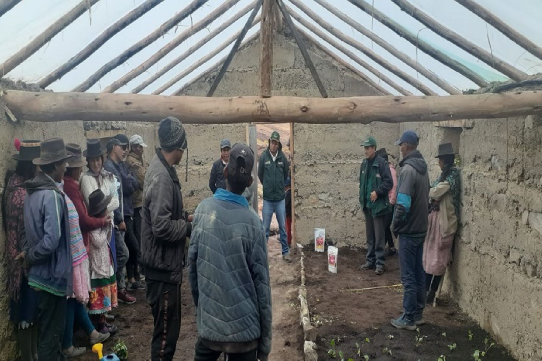 Heladas y friaje: Midagri tiene listos 120 fitotoldos para proteger cultivos en Ayacucho
