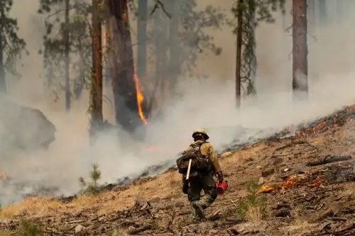 El oeste americano está sufriendo las consecuencias de más de dos décadas de devastadora sequía, exacerbada por el cambio climático. Foto: AFP