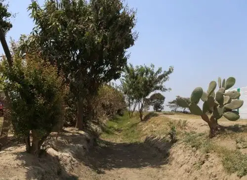 El Gobierno Regional de La Libertad inició la mejora de canal de regadío para potenciar 472 hectáreas de cultivo en la provincia de Trujillo. ANDINA/Difusión