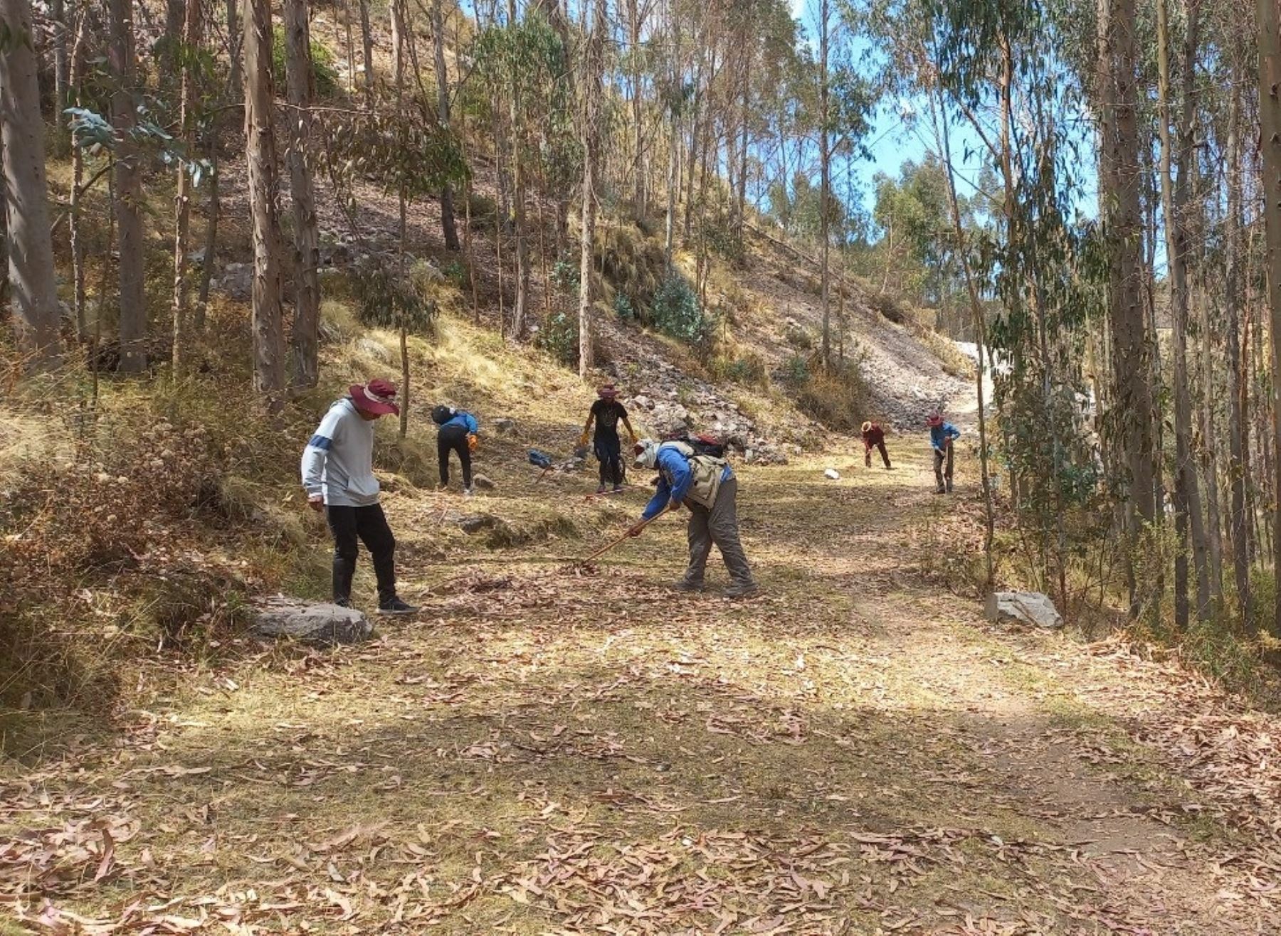 Especialistas y estudiantes realizan labores de conservación en tramo de Camino Inca que conduce al Contisuyo en Cusco. Foto: ANDINA/difusión.