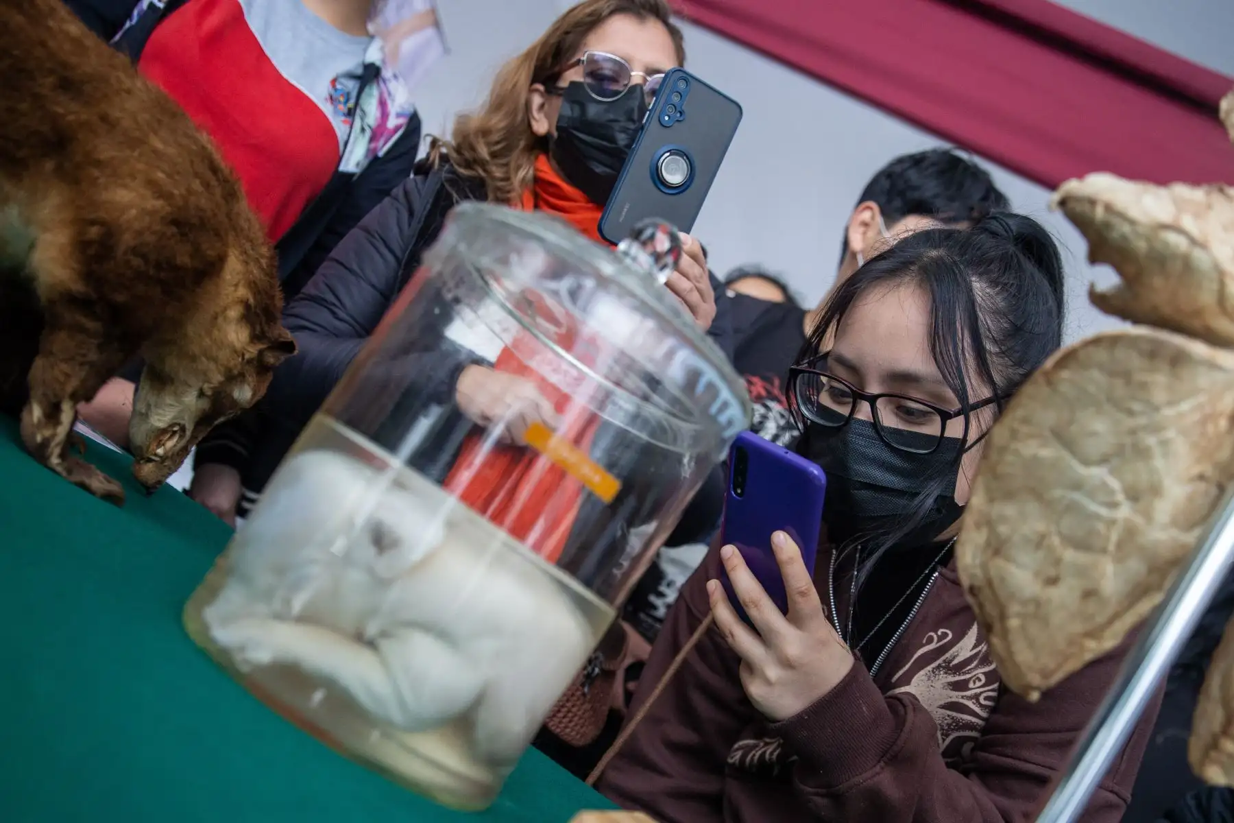 Después de casi tres años de pandemia, miles de estudiantes podrán participar del tradicional Encuentro Vocacional Universitaria que se realizará los días 14 y 15 de setiembre en la plaza Fray Tomás de San Martín en la Ciudad Universitaria en donde serán expuestas las bondades de las 66 escuelas profesionales que ofrece la Decana de América, buscando establecer un vínculo con estudiantes y padres de familia. Foto: ANDINA/Carla Patiño