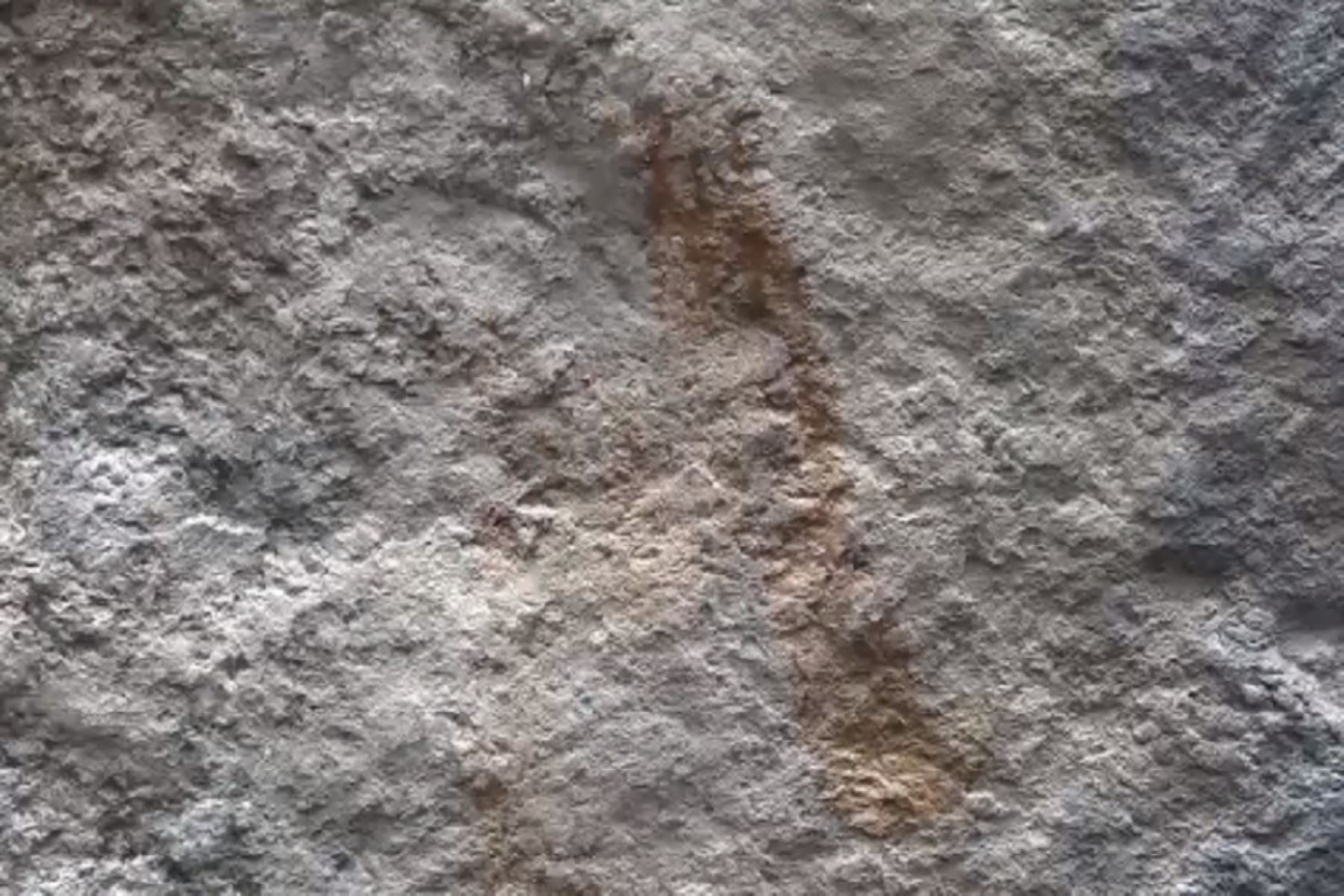 Arqueólogos de la Dirección Desconcentrada de Cultura de Cusco descubrieron muestras de arte rupestre en un sector del Qhapaq Ñan o Gran Camino Inca que atraviesa el Parque Arqueológico de Machu Picchu.