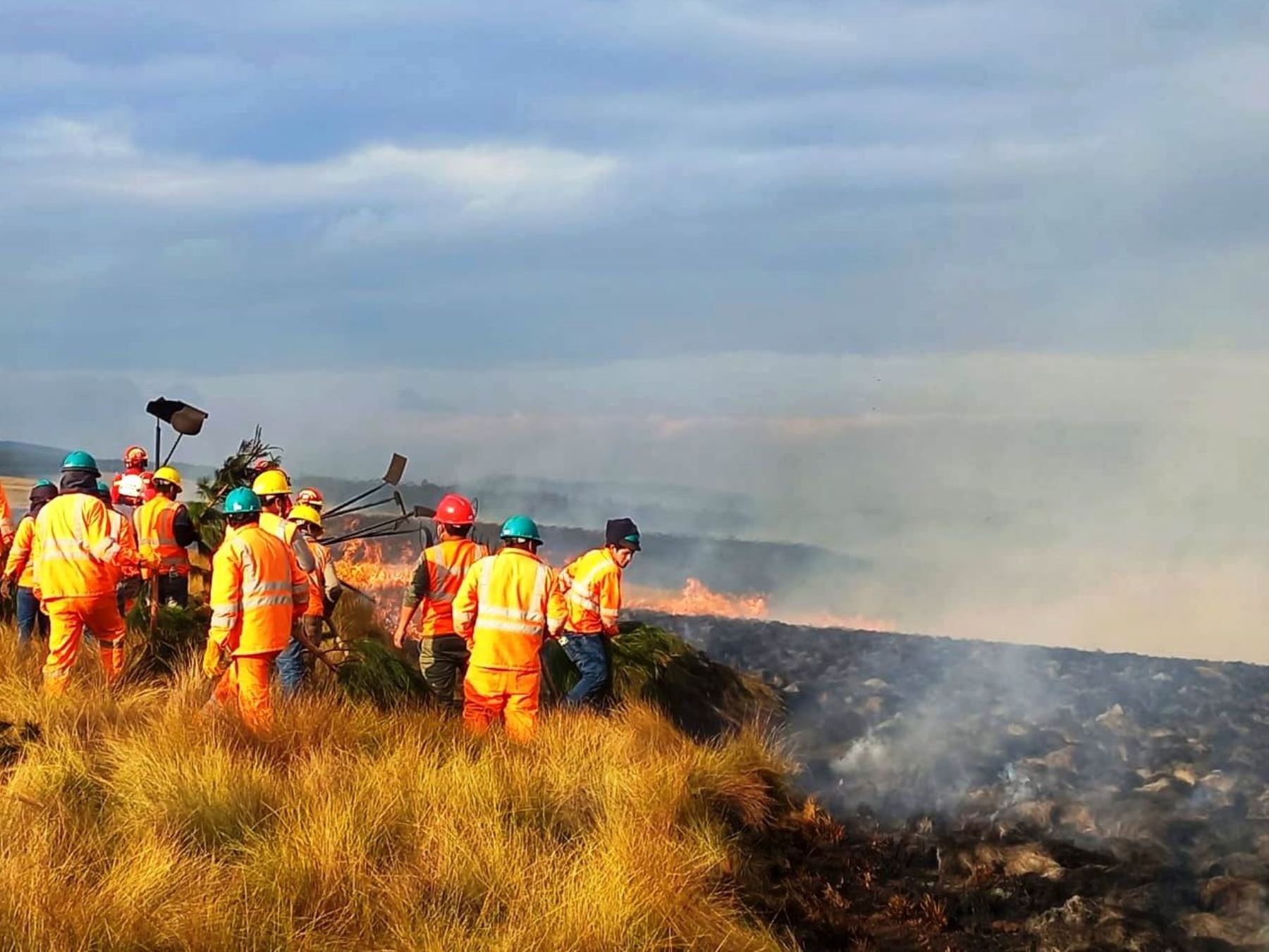 Cajamarca: nueve incendios forestales afectaron a la región en las últimas seis semanas