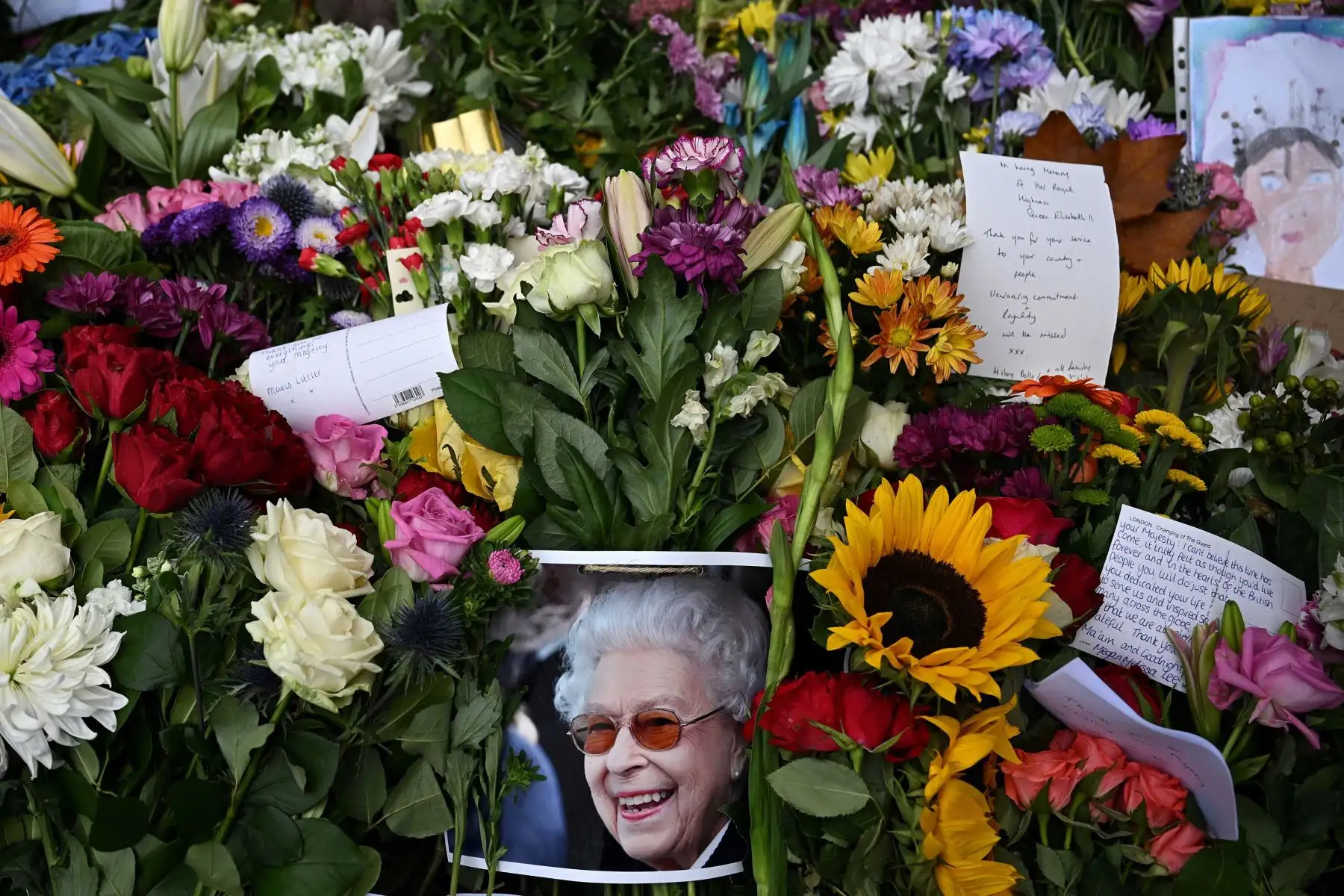 Las flores y los tributos se muestran en Green Park en Londres, luego de la muerte de la reina Isabel II el 8 de septiembre. enormes colas esperaban pasar frente a su ataúd para presentar sus respetos. Foto: AFP