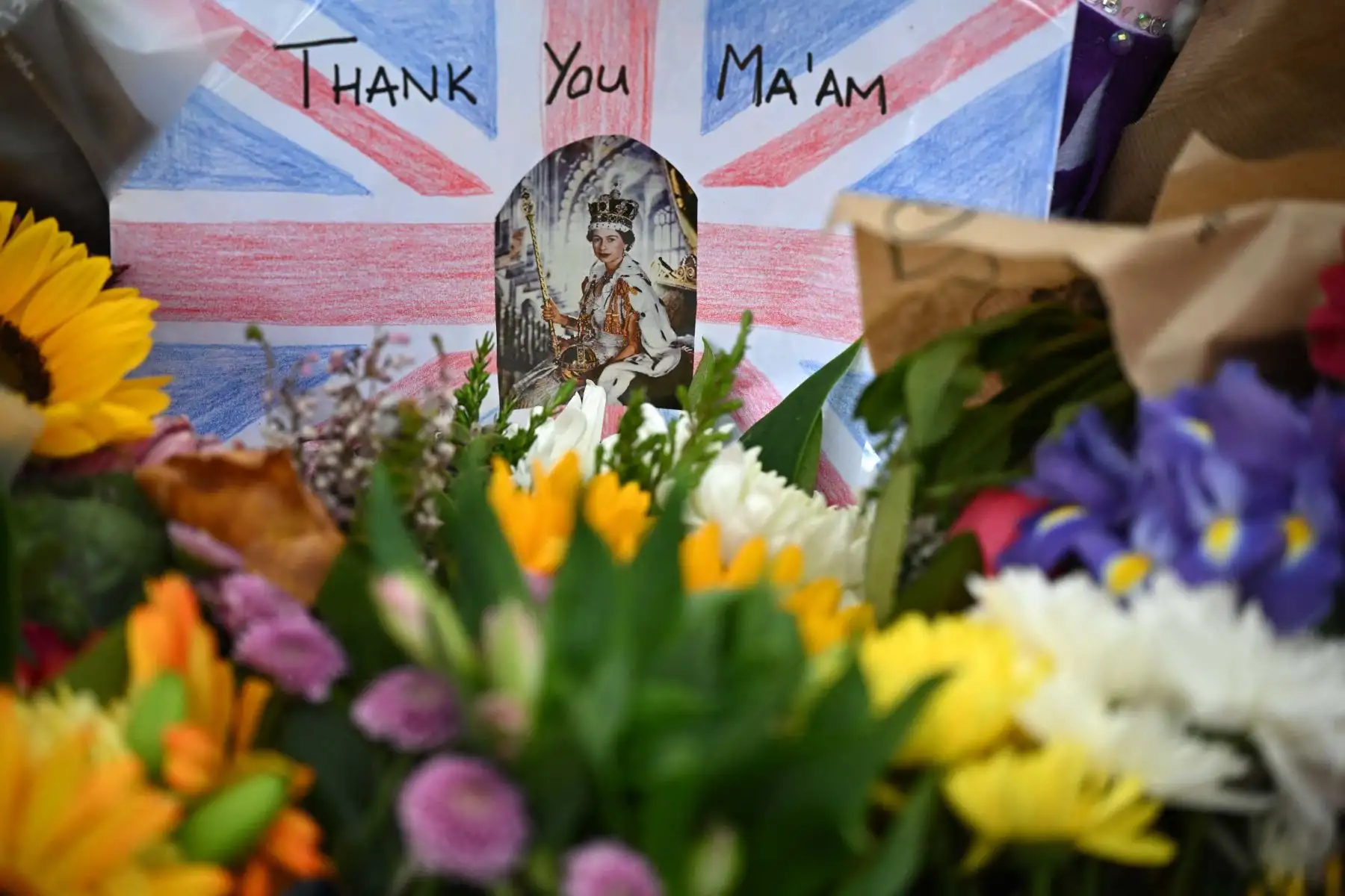 Las flores y los tributos se muestran en Green Park en Londres, luego de la muerte de la reina Isabel II el 8 de septiembre. enormes colas esperaban pasar frente a su ataúd para presentar sus respetos. Foto: AFP
