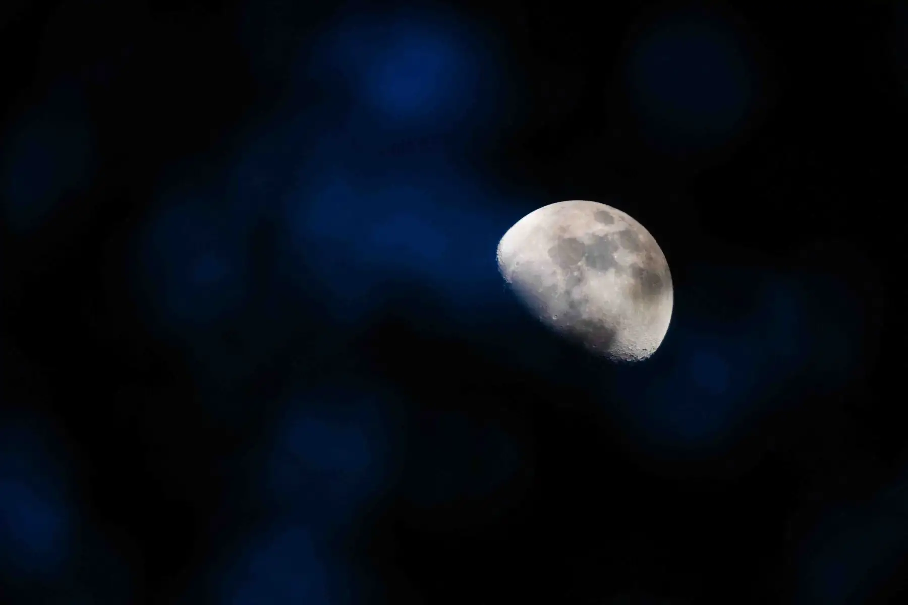 La Luna en la Reserva Nacional de Tambopata, accesible a través de Puerto Maldonado, tiene una extensión de más de 274.000 hectáreas, lo que la convierte en una extensísima muestra de la selva húmeda tropical.  Laguna Sandoval. Foto: ANDINA/ Carlos Lezama Villantoy