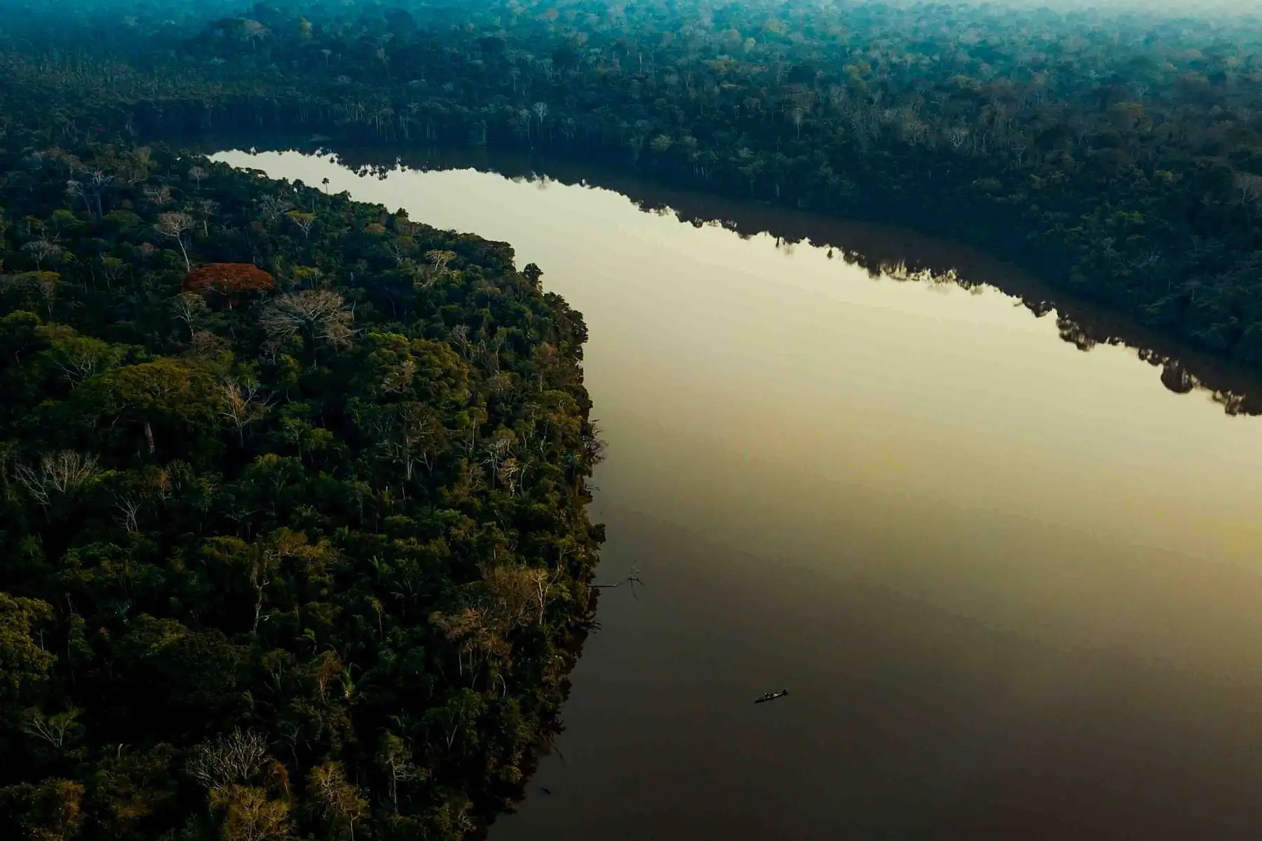 Laguna Sandoval de la Reserva Nacional de Tambopata, accesible a través de Puerto Maldonado, tiene una extensión de más de 274.000 hectáreas, lo que la convierte en una extensísima muestra de la selva húmeda tropical.  Foto: ANDINA/ Carlos Lezama Villantoy
