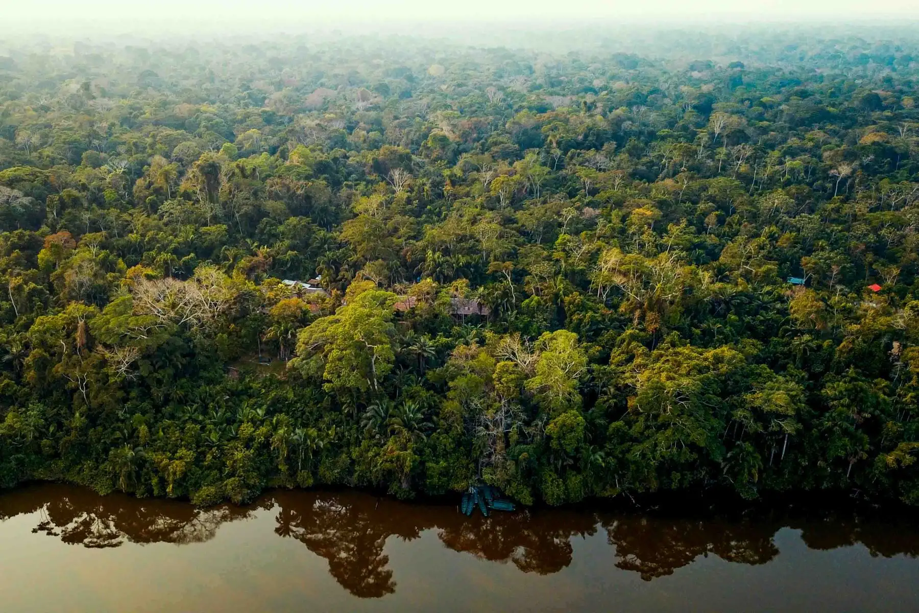 Laguna Sandoval de la Reserva Nacional de Tambopata, accesible a través de Puerto Maldonado, tiene una extensión de más de 274.000 hectáreas, lo que la convierte en una extensísima muestra de la selva húmeda tropical.  Foto: ANDINA/ Carlos Lezama Villantoy