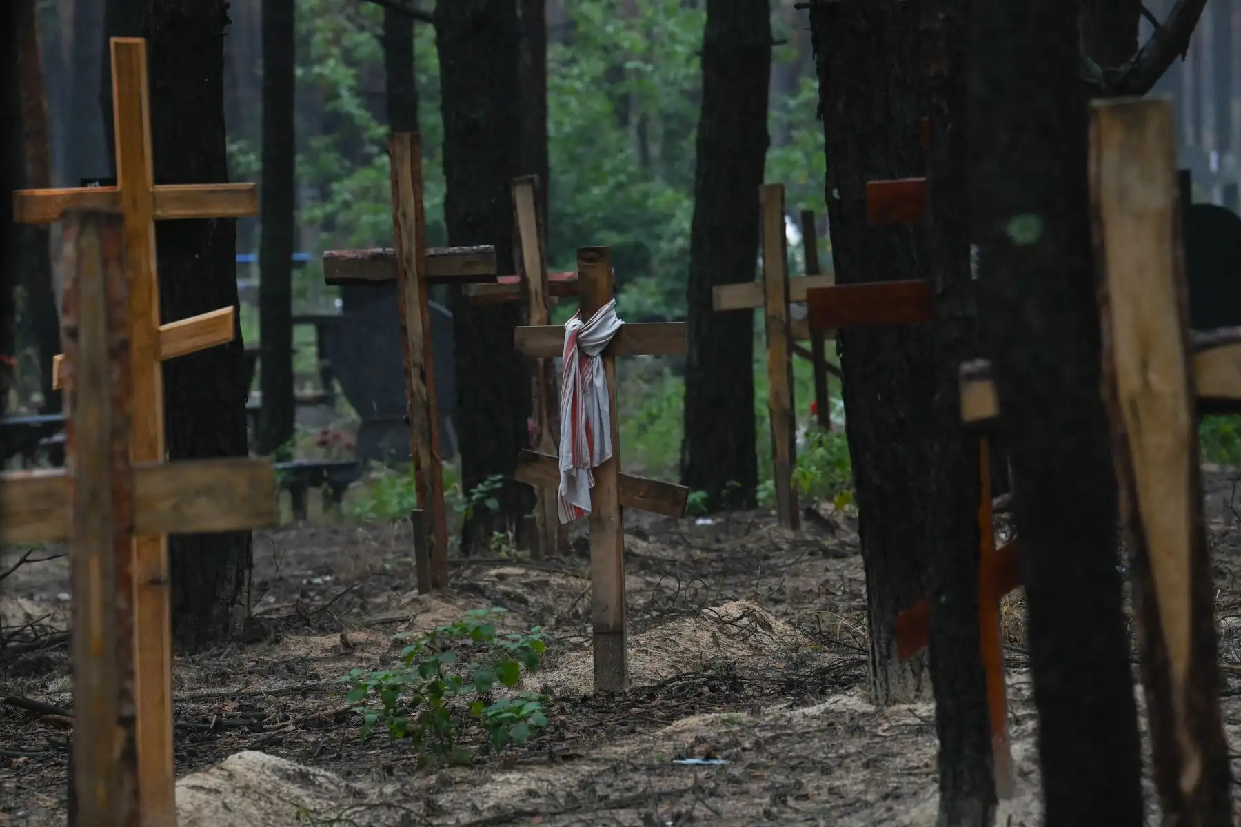 Técnicos forenses cavan una tumba en un bosque en las afueras de Izyum, este de Ucrania, el 16 de septiembre de 2022. - Ucrania dijo el 16 de septiembre de 2022 que había contado 450 tumbas en un solo lugar de entierro cerca de Izyum después de recuperar la ciudad del este de los rusos. Foto: AFP