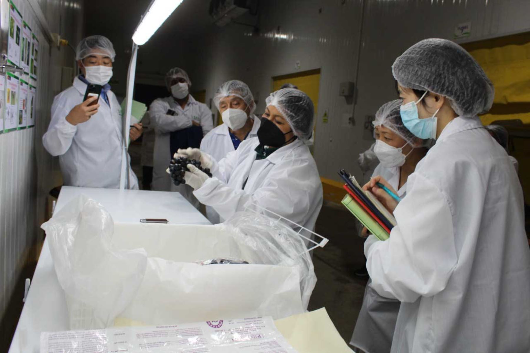 Delegación japonesa visitó a productores de Uva. Foto: Difusión