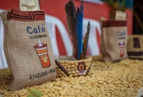 Esta asociación de cafetaleros, cuya marca es Café Ayacuchano, recibe atención por parte de la Comisión Nacional para el Desarrollo y Vida sin Drogas (Devida), quien los implementó con un módulo de procesamiento de café, a fin de darle un valor agregado a su producción.