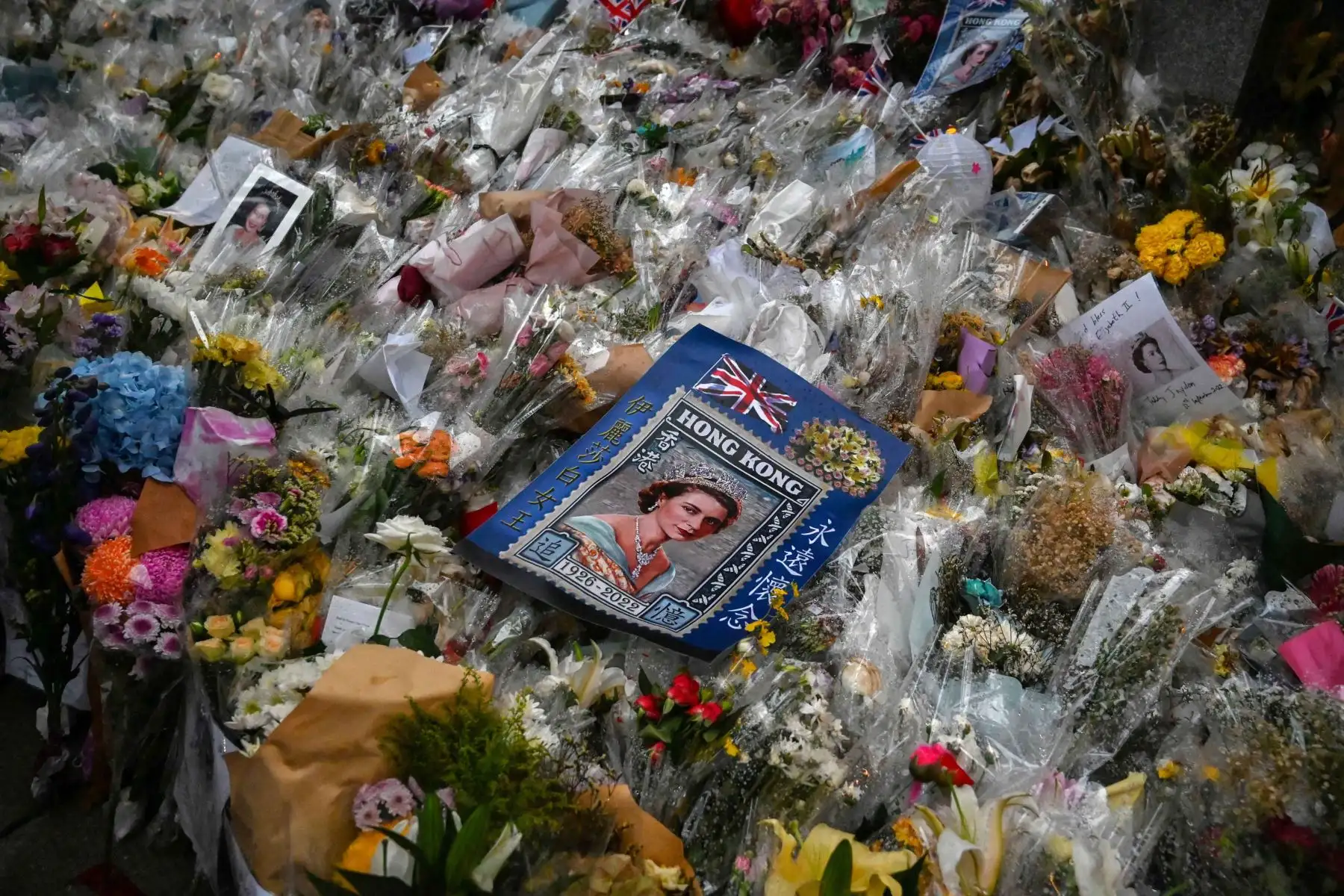 Una imagen de la reina Isabel II de Gran Bretaña se coloca entre los tributos de flores mientras la gente se reúne frente al Consulado Británico en Hong Kong. Foto: AFP