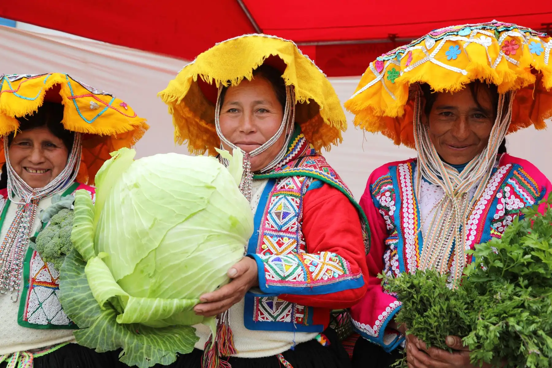 Gracias a la capacitación y asistencia técnica de especialistas y yachachiq (maestros del campo), los hogares usuarios de Haku Wiñay/Noa Jayatai adquieren habilidades y técnicas para producir fertilizantes orgánicos, y enriquecen los huertos y campos agrícolas de siembra de granos, tubérculos, hortalizas y frutales.