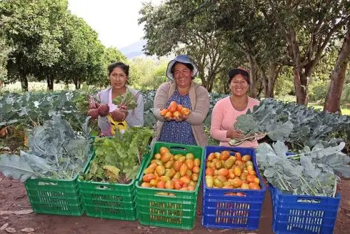 Foto: cortesía.