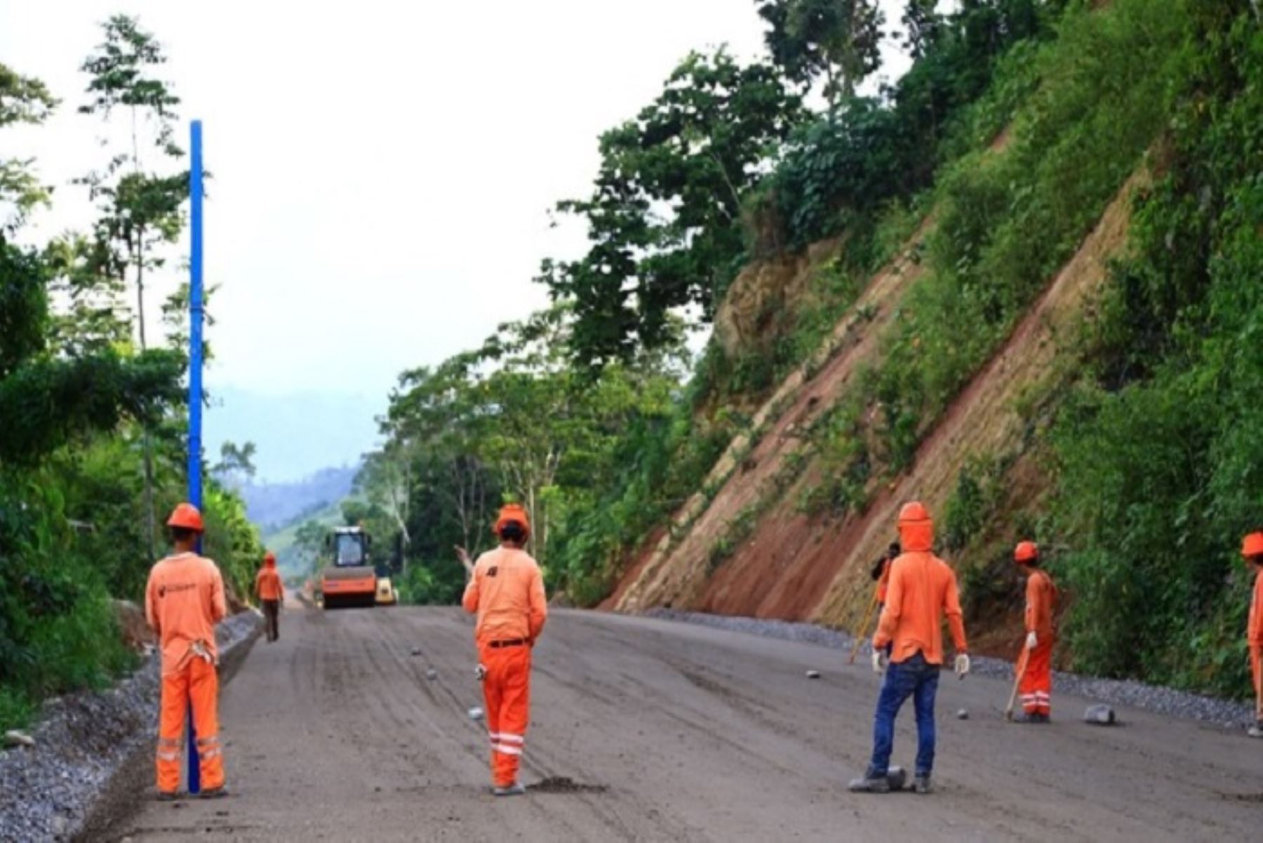 MTC otorgó buena pro para servicio de conservación del corredor vial Huánuco-Ucayali