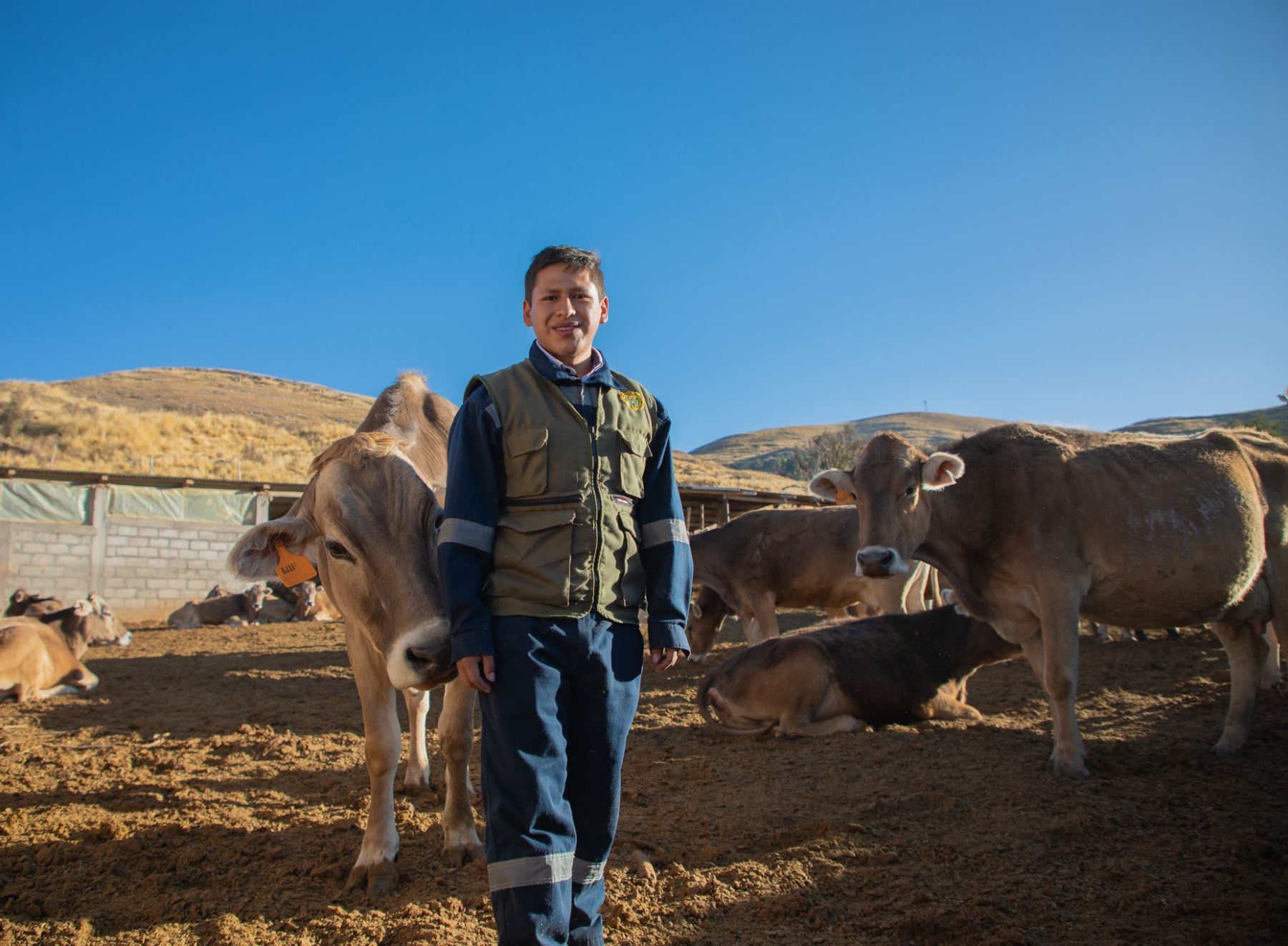 Ángel Condori, el talento que busca producir la mejor carne de vacuno del mundo en Puno