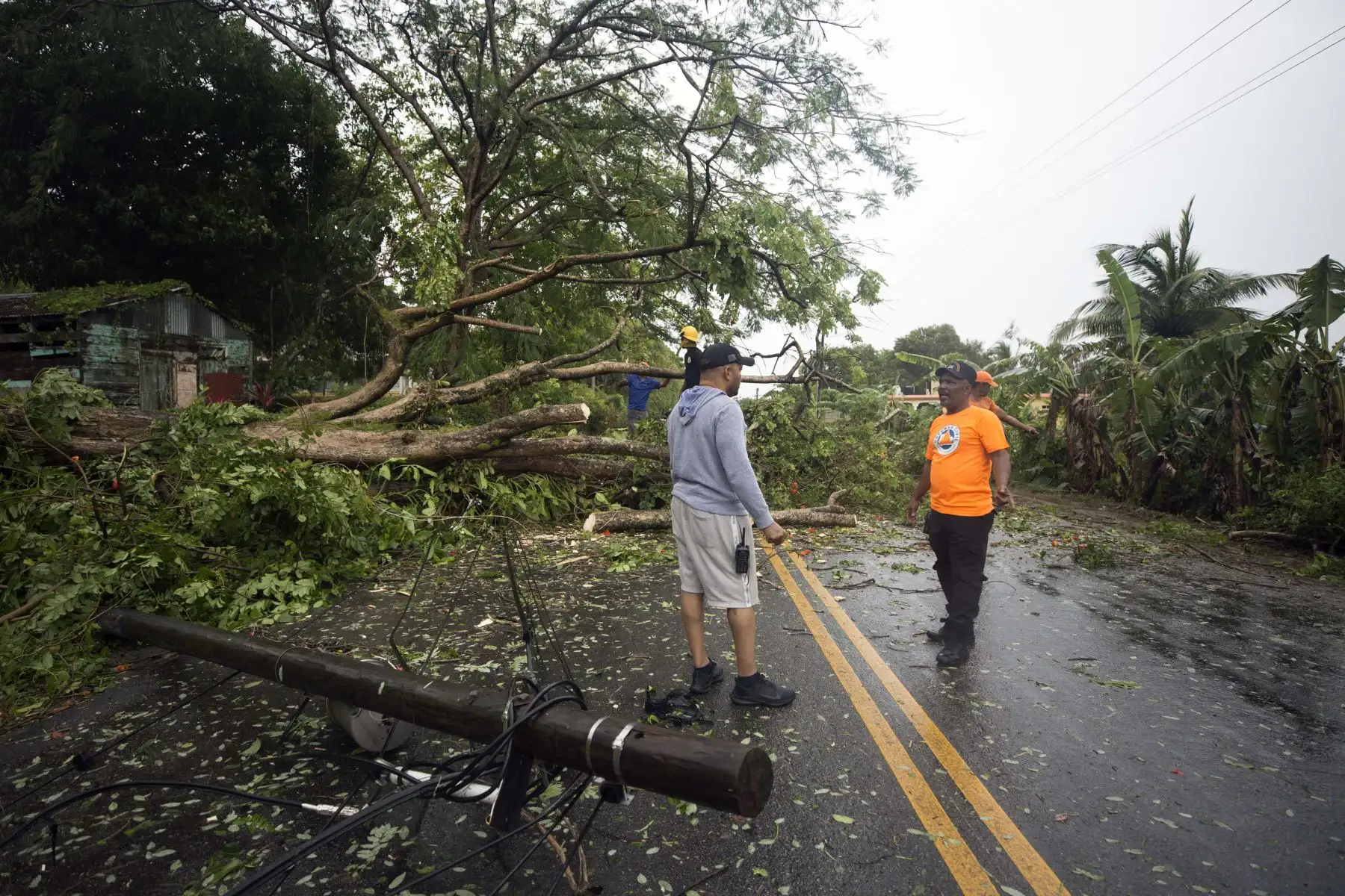 Personal de defensa civil y bomberos trabajan retirando árboles caídos de la carretera que conecta las provincias de María Trinidad Sánchez y Samaná, República Dominicana. Foto: AFP