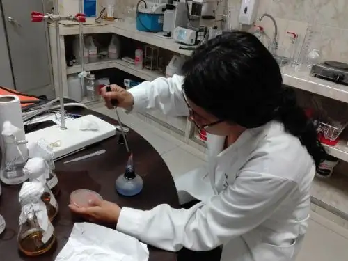 Investigadores de la Universidad Nacional de Trujillo desarrollan un proyecto ecológico que busca aislar levaduras con potencial para producir biodiésel que reemplace al combustible tradicional. Foto: ANDINA/difusión.