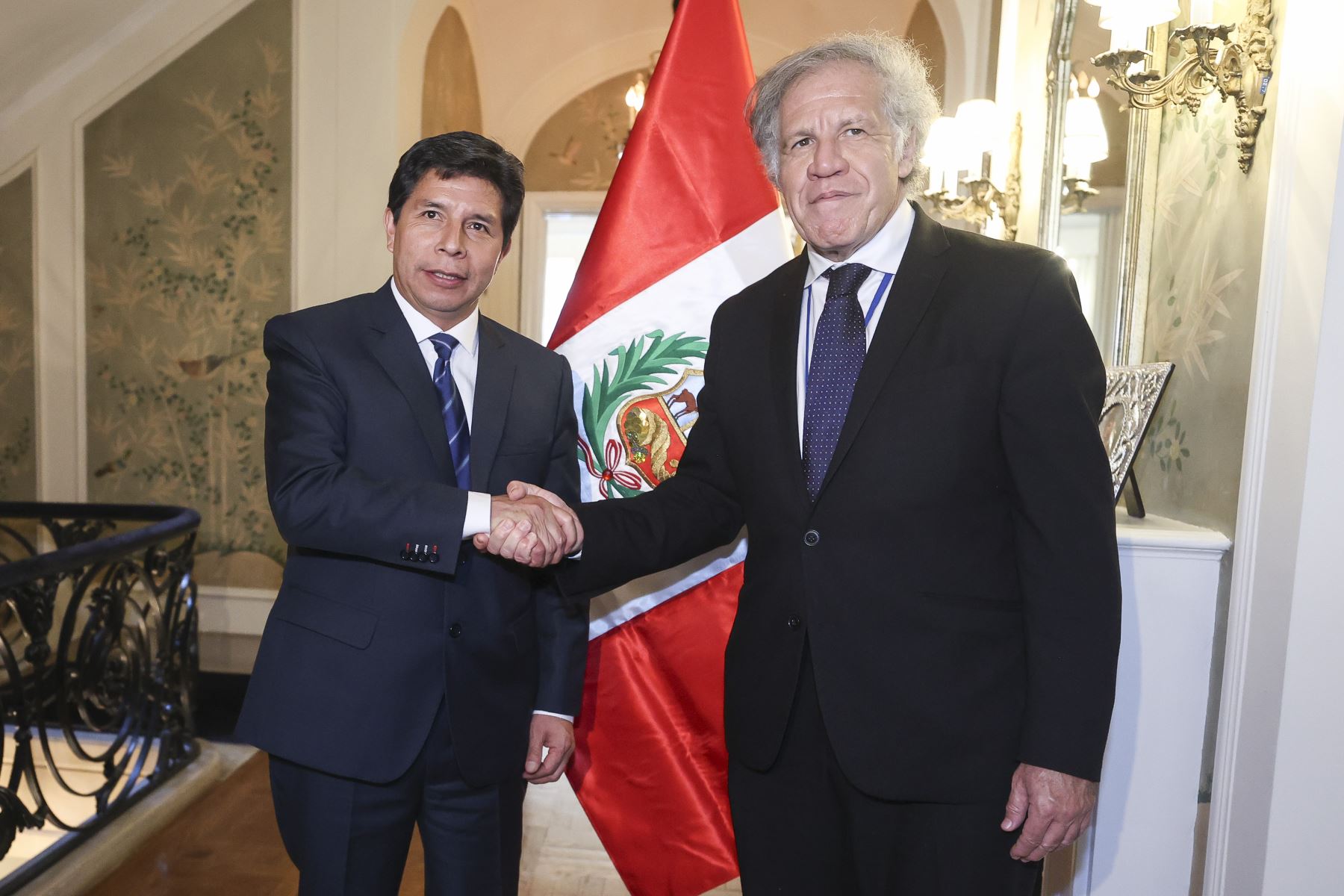 Presidente Castillo y Almagro dialogaron sobre cierre de brechas y respeto a la democracia