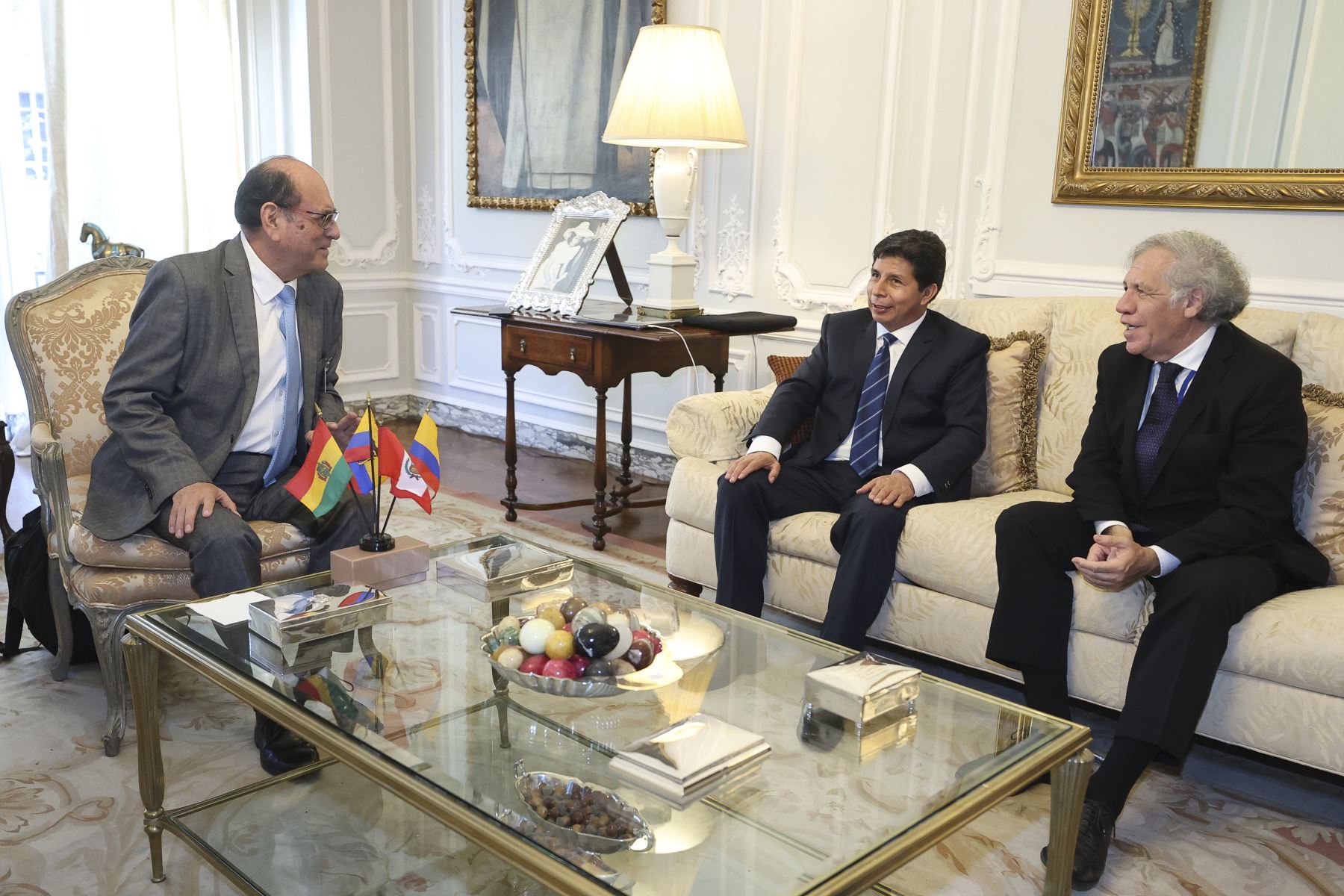 Presidente Pedro Castillo se reunió con el secretario general de la OEA, Luis Almagro. Foto: ANDINA/ Prensa Presidencia/ Vidal Tarqui Palomino