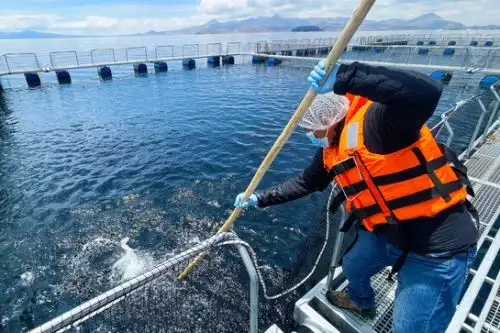 Alrededor de 950 muestras tomadas a nivel nacional, se logró el aislamiento de 481 bacterias. Foto: Difusión