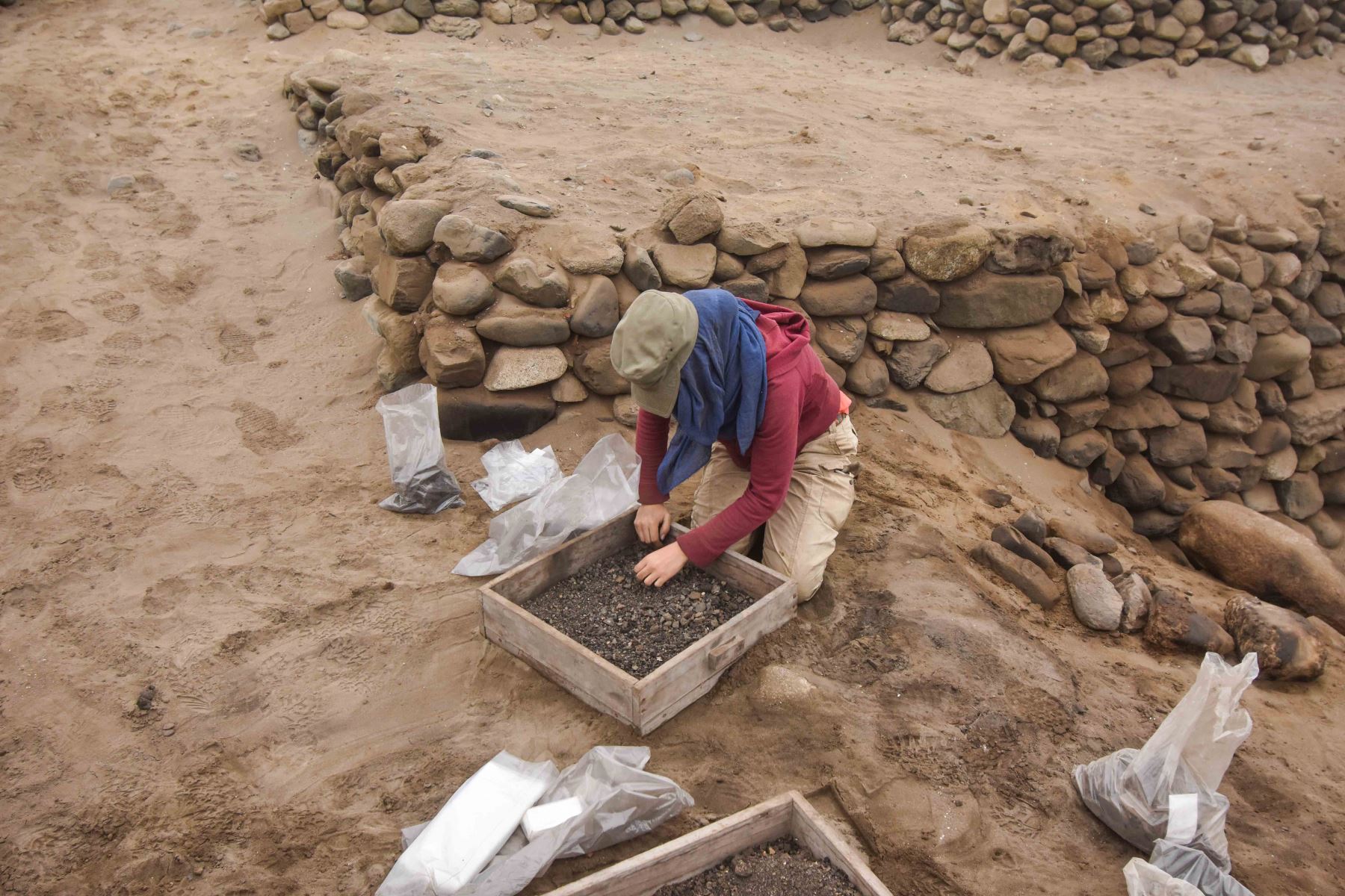 El proceso de excavación, desarrollado entre julio y agosto de este año, se hallaron 76 nuevas tumbas de niños; 25 encontradas en el “montículo I”, y las otras 51, en el “montículo II”. A la fecha, ya suman un total de 302 los menores desenterrados en la zona. Foto: ANDINA/ Programa Arqueológico Huanchaco