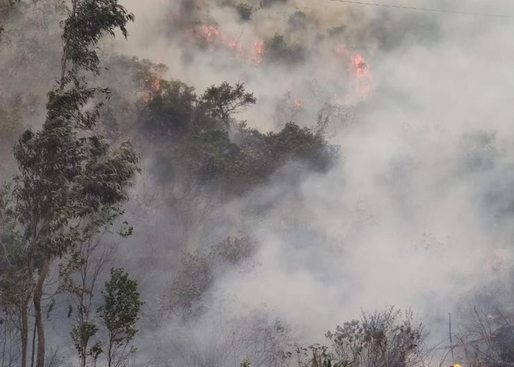 Caída de rayo provoca un incendio forestal en parque arqueológico de Machu Picchu. Hasta el momento el fuego arrasa con más de 20 hectáreas de vegetación. Foto: ANDINA/difusión.