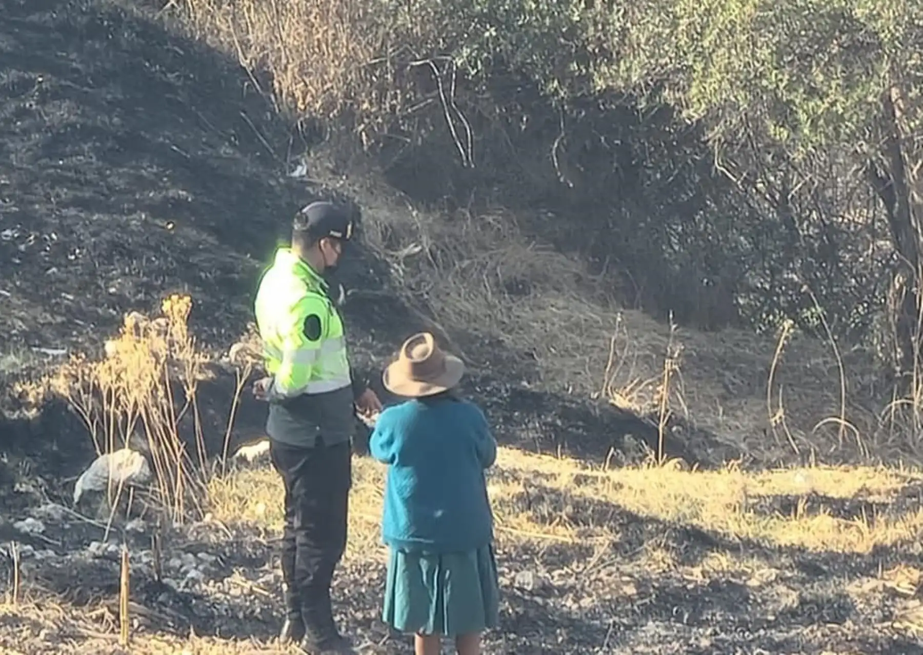 Una persona murió y dos resultaron heridas de gravedad por quemaduras cuando combatían un incendio forestal en la provincia de Paruro, en Cusco. Foto: ANDINA/difusión.
