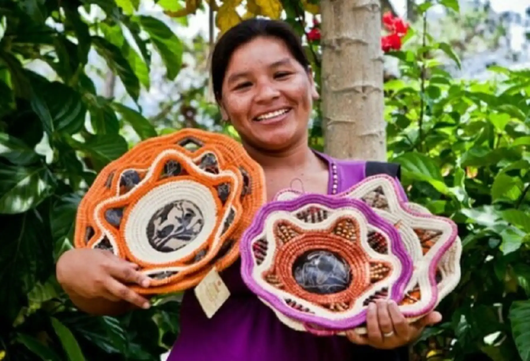 El Ministerio del Ambiente (Minam), aprobó el Reglamento Operativo del Programa para Bionegocios, gracias al cual más de 6,500 empresas y emprendimientos sostenibles que operan en la Amazonía peruana podrán acceder, en conjunto, a 20 millones de dólares en créditos financieros.