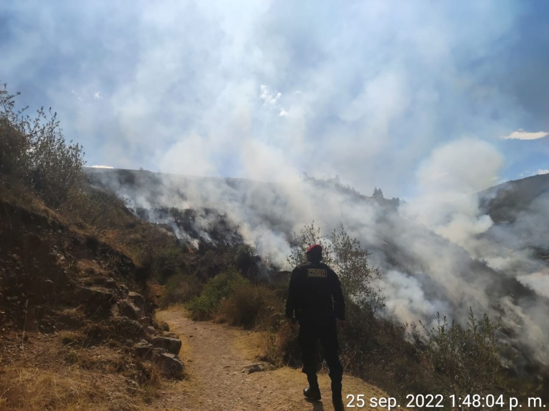 Policía Nacional controló ayer un incendio forestal cerca de la ciudad del Cusco y salvó una liebre silvestre afectada por la humareda. ANDINA/Difusión