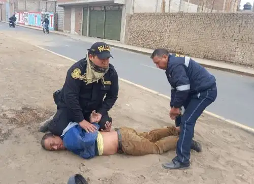 Foto: ANDINA/difusión.