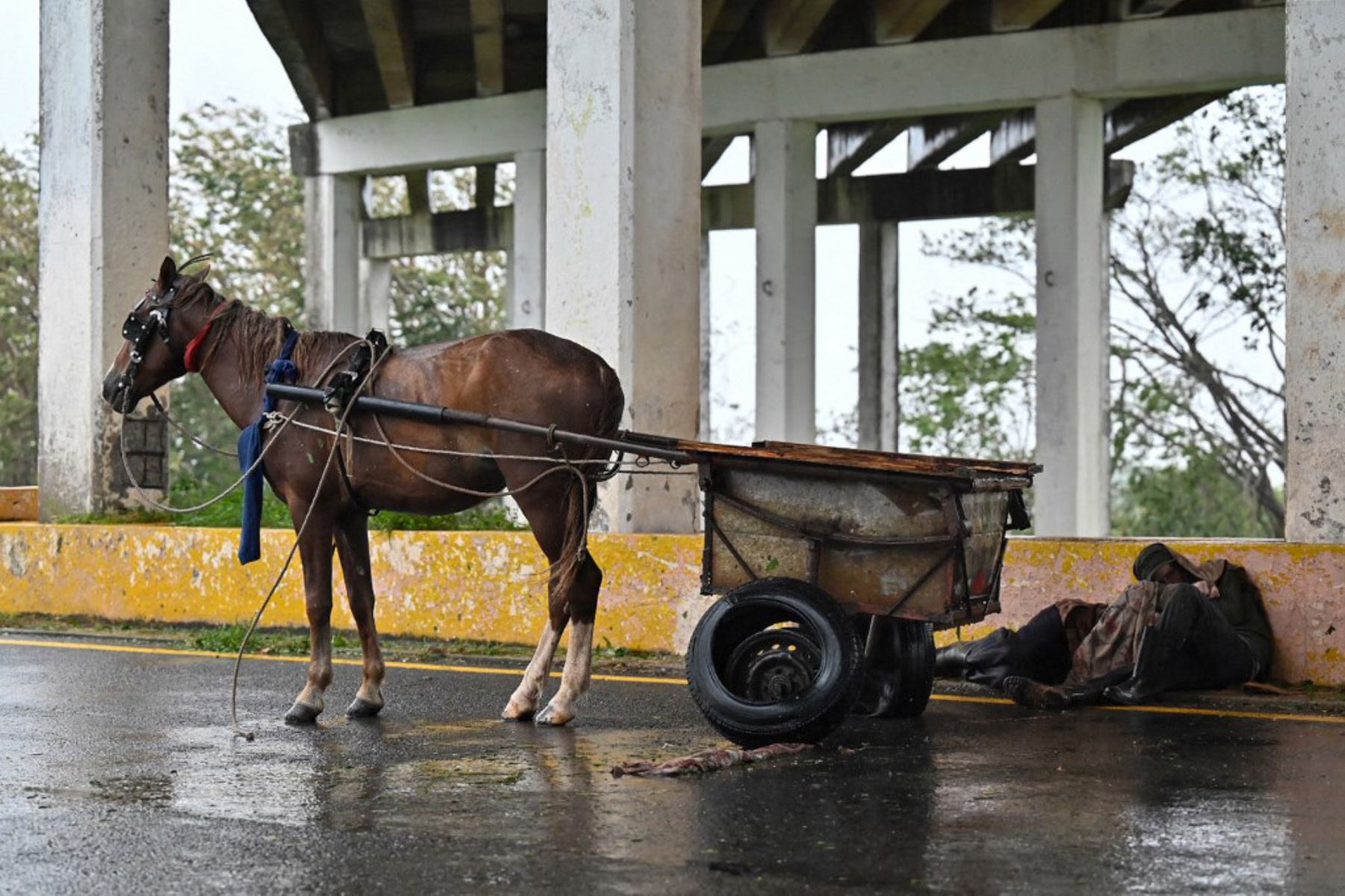 Un vagabundo duerme junto a su carro tirado por caballos en Consolación del Sur, Cuba, durante el paso del huracán Ian. Foto: AFP