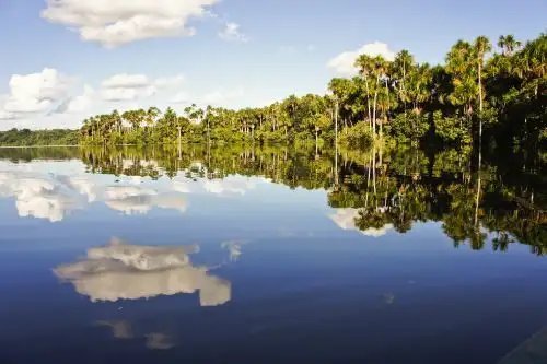 La Reserva Nacional Tambopata es un verdadero paraíso natural. Esta área natural protegida posee una gran riqueza biológica. ANDINA/Difusión