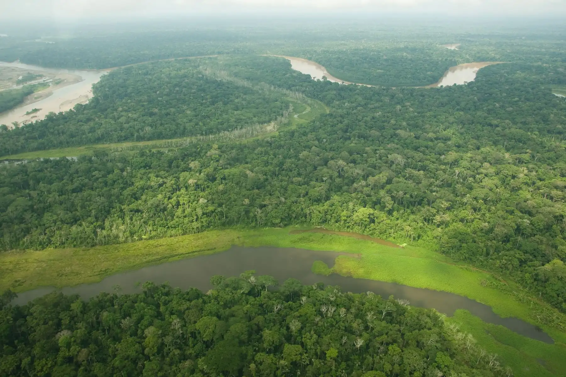 Ocho áreas protegidas de Perú destacan en el Top 100 de destinos sostenibles del mundo. En la imagen, Parque Nacional del Manu de Madre de Dios  y Cusco.
Foto: Mincetur