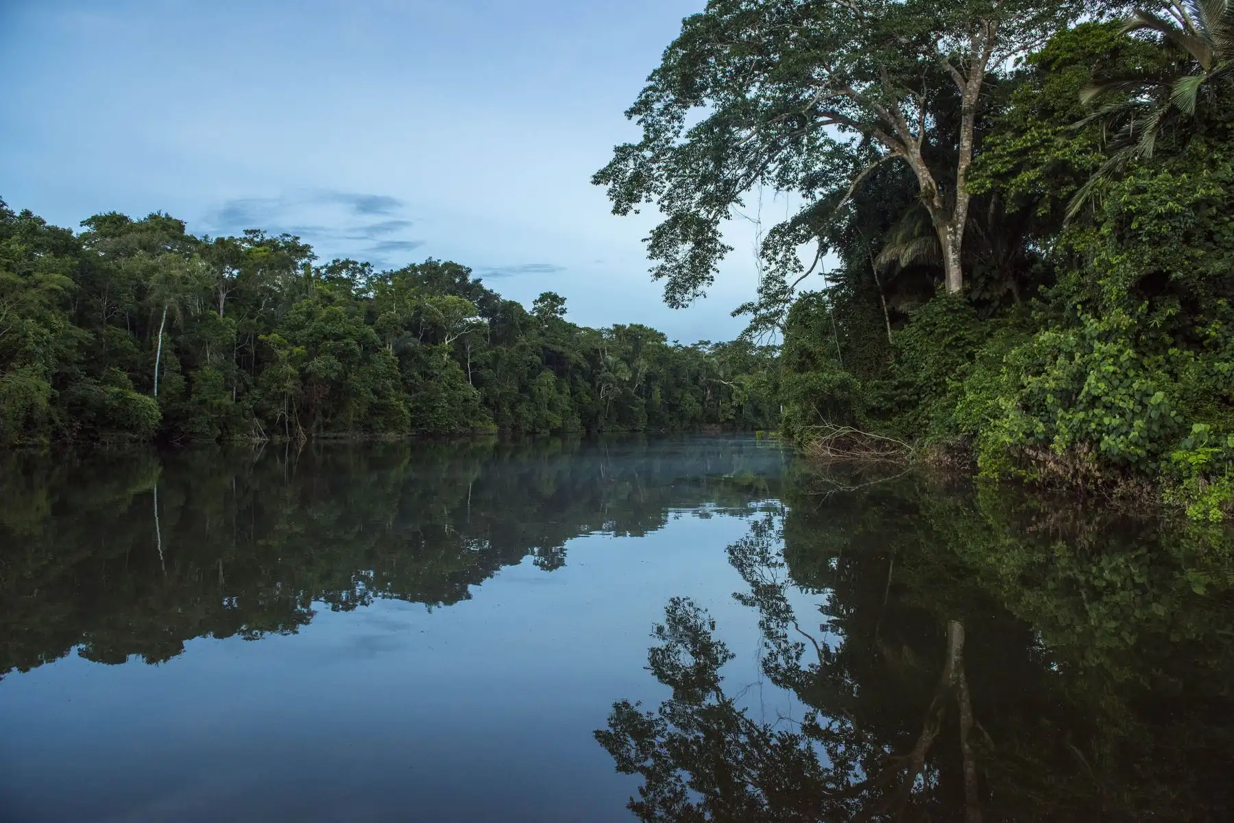 Ocho áreas protegidas de Perú destacan en el Top 100 de destinos sostenibles del mundo. En la imagen, Parque Nacional Bahuaja Sonene de Madre de Dios y Puno.
Foto: Mincetur