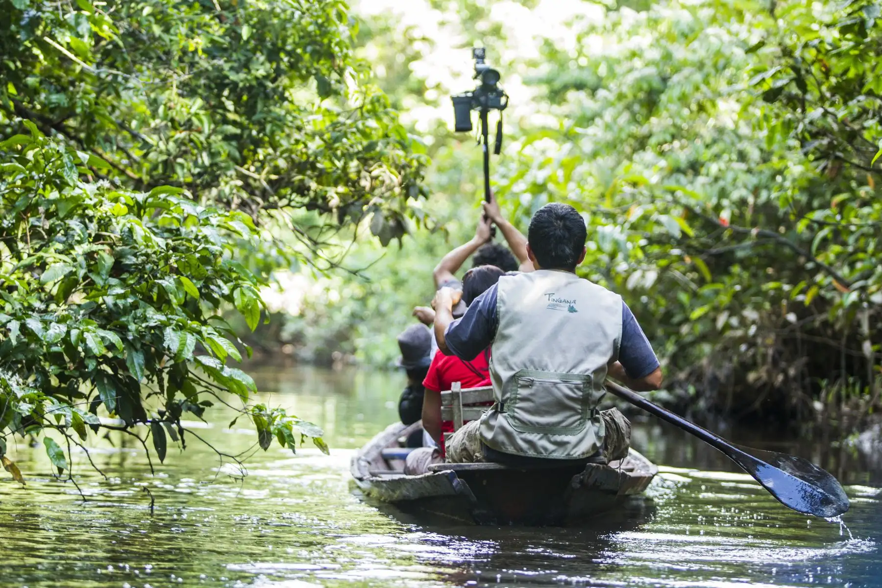 Ocho áreas protegidas de Perú destacan en el Top 100 de destinos sostenibles del mundo. En la imagen, Bosque de Protección Alto Mayo de San Martín – Amazonas – Loreto.
Foto: Mincetur